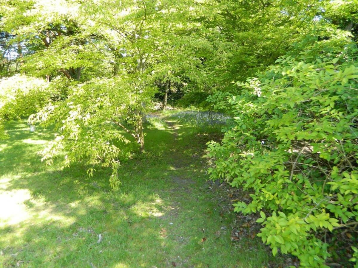 River Cottage A Country Retreat In Wooded Gardens East Stoke  외부 사진